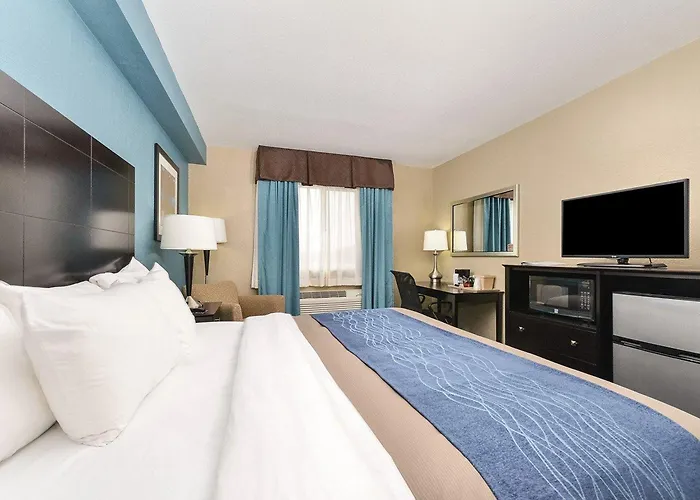 Hotel Comfort & I-55 4*