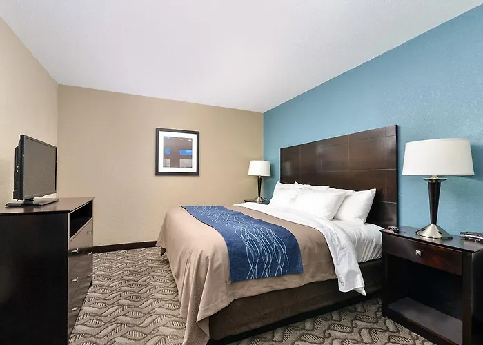 Hotel Comfort & I-55 Springfield