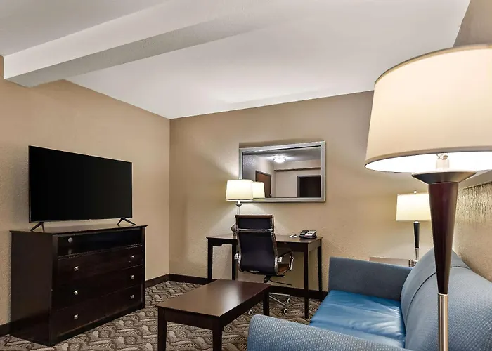 Comfort & I-55 Hotel