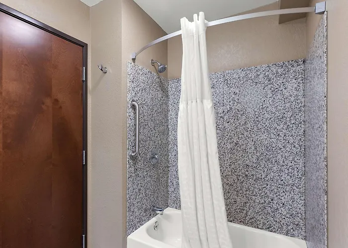 Comfort & I-55 Hotel